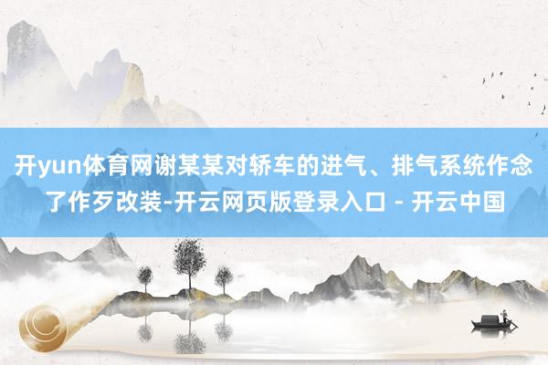 开yun体育网谢某某对轿车的进气、排气系统作念了作歹改装-开云网页版登录入口 - 开云中国