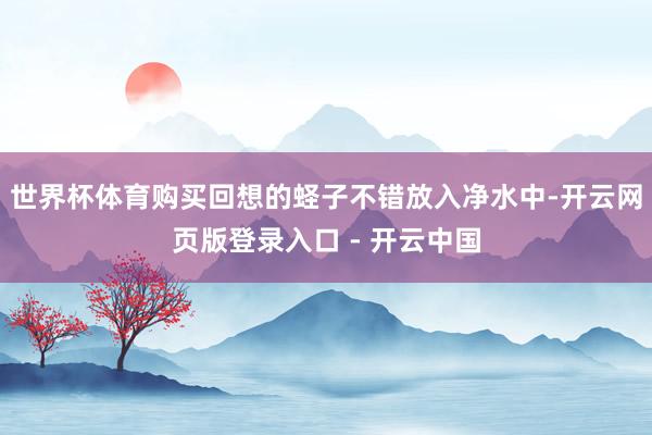 世界杯体育购买回想的蛏子不错放入净水中-开云网页版登录入口 - 开云中国